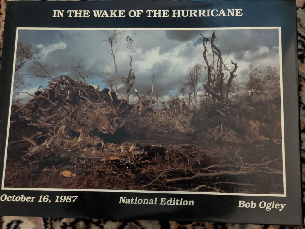 In the Wake of the Hurricane Bob Ogley front cover