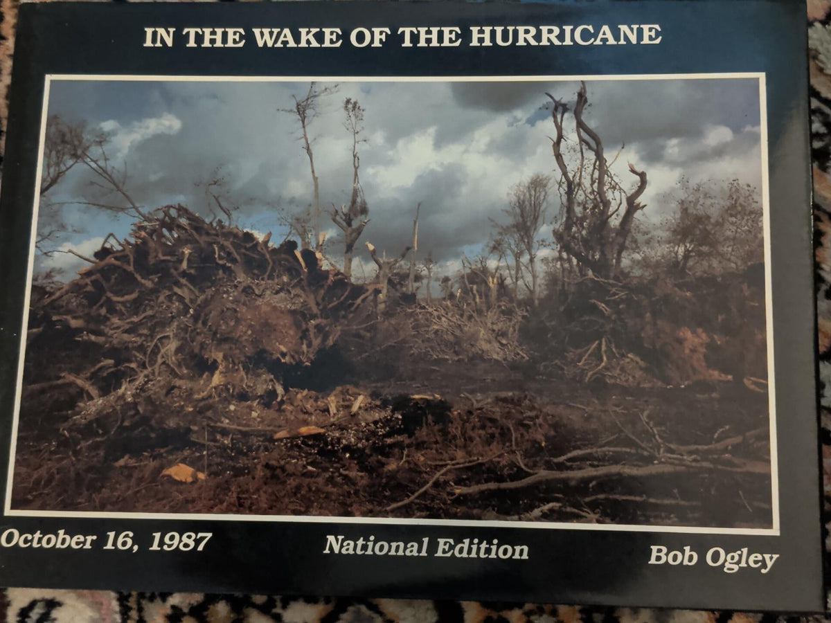 In the Wake of the Hurricane Bob Ogley front cover