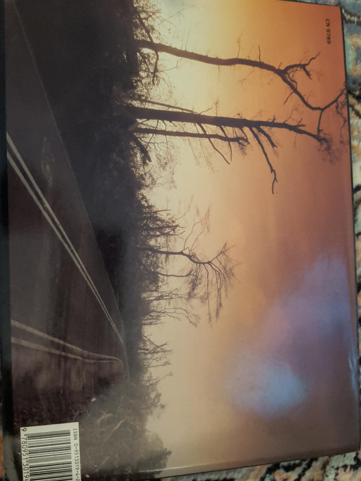 In the Wake of the Hurricane Bob Ogley back cover