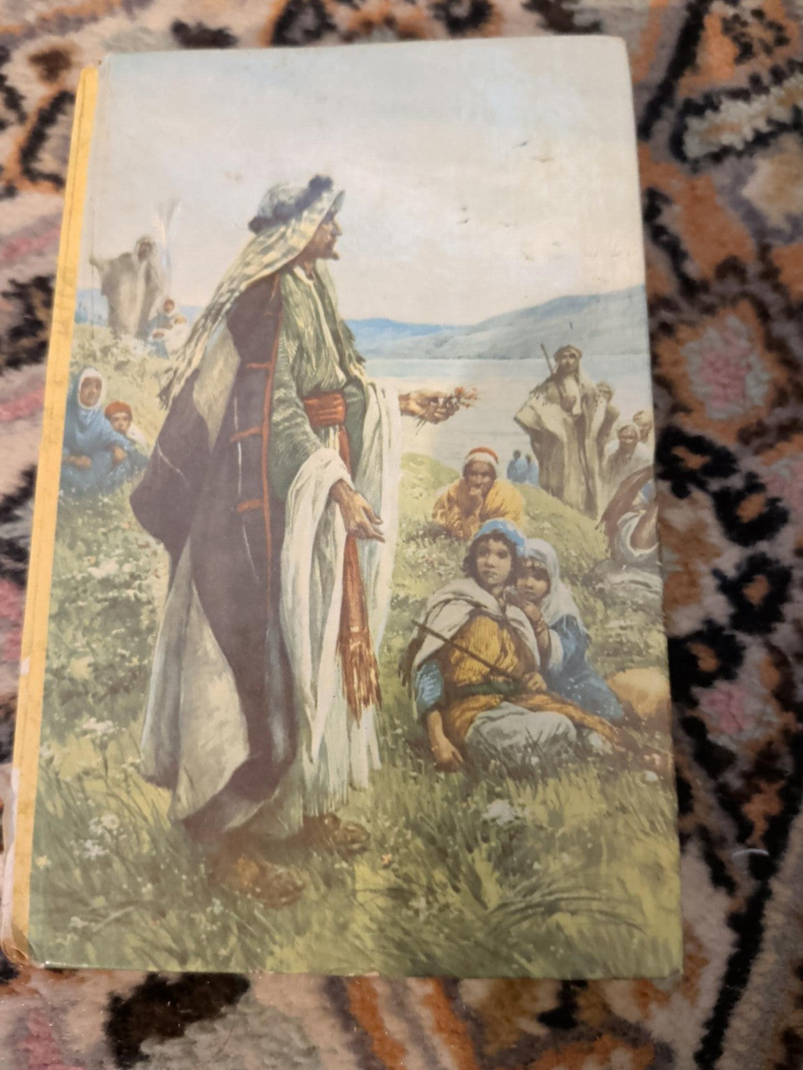 Collins Holy Bible illustrated colour cover