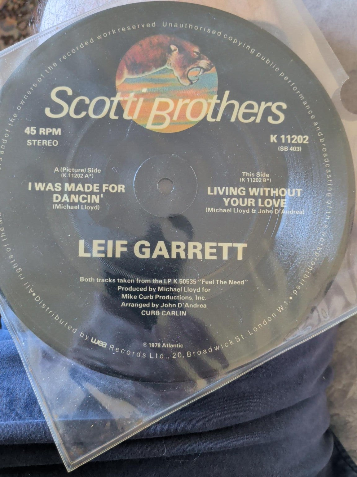 Leif Garrett picture disc reverse