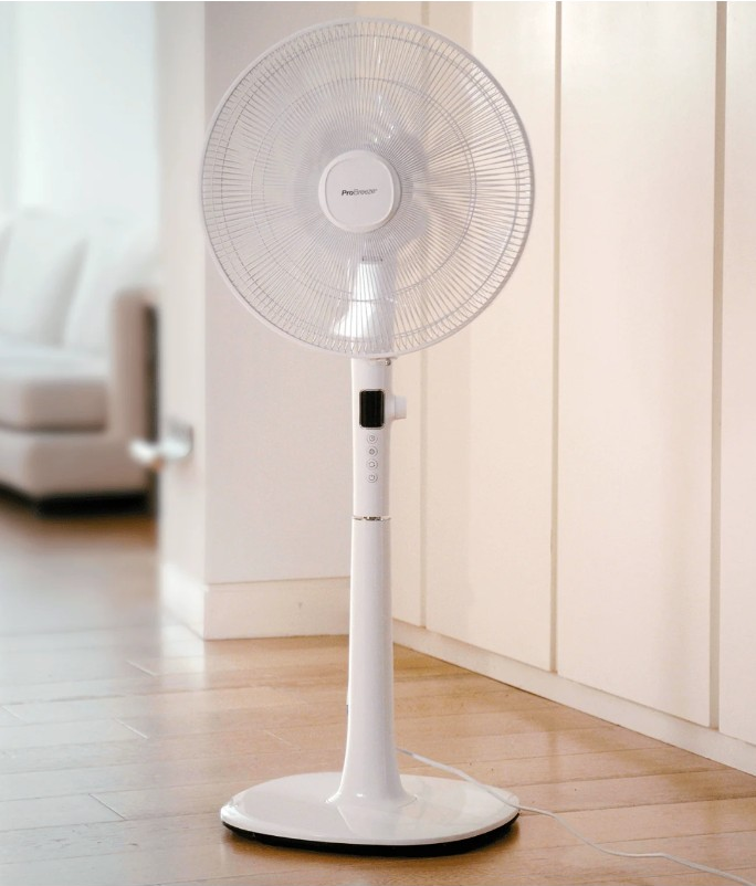 Manufacturer photograph showing full Pro Breeze PB-F08 pedestal fan