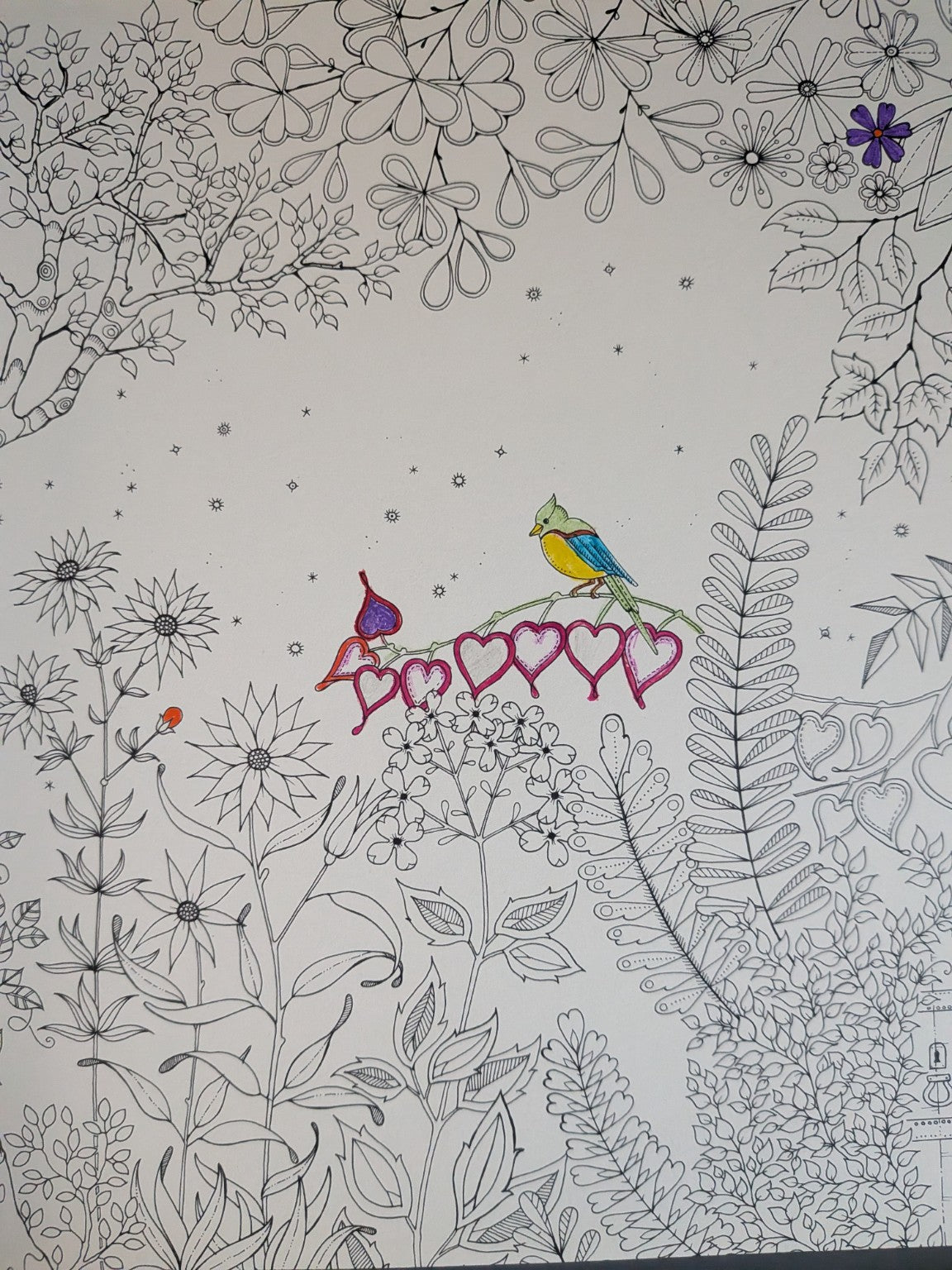Secret Garden by Johanna Basford – Colouring Book