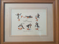 Penguin Postures framed cartoon print, actual item showing condition